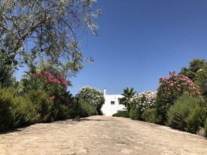 Villa Drive