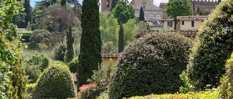 Jardines del alojamiento