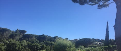 Overnatningsstedets område