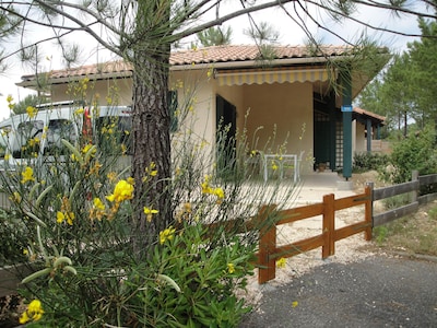 Casa / villa / chalet - Moliets et Maa