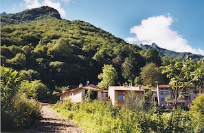 Exteriör