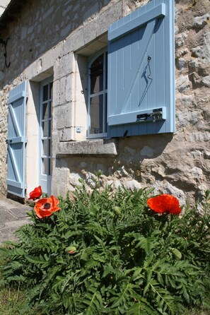 Poppies