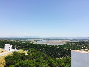 Great views from our terrace on la Janda rice fields