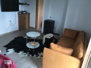 Living room with television and pellet stove