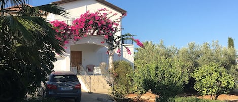 The front of the villa is awash with bougainvillea