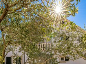 Daytime, Sky, Leaf, Branch, Building, Window, Botany, Tree, Plant, Vegetation