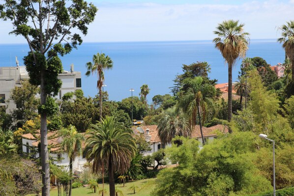 South View from Kitchen Balcony