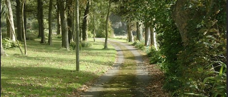 Avenue entrance 