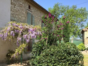 Front terrace 