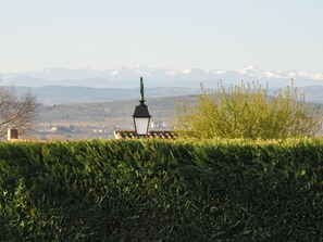 Aussicht vom Ferienhaus [Sommer]