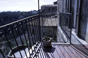 Terrace and panorama