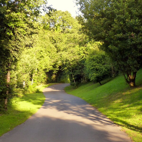 Oakridge driveway