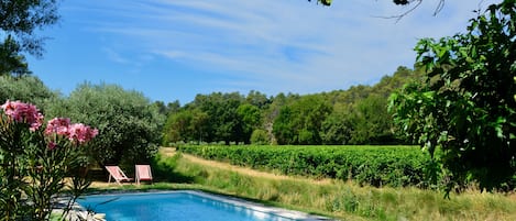 Pool with view of vines and olives