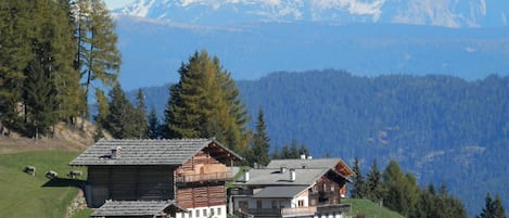 Gigglhirnhof  mit Blick auf die Sarntaler Alpen