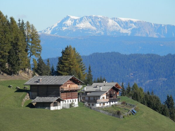 Gigglhirnhof  mit Blick auf die Sarntaler Alpen