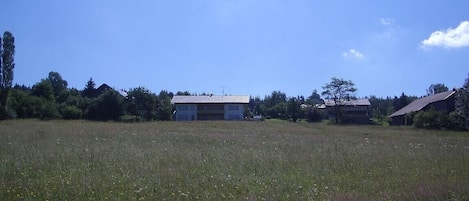 Blick auf das Haus über die blühende Blumenwiese