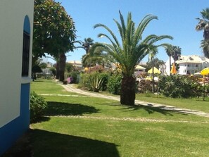 Behind the house with view of the swimming pool