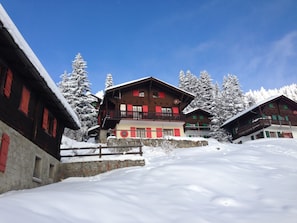 Exteriör