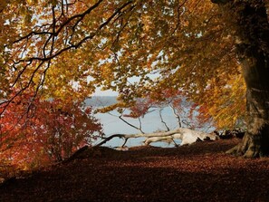 Spaziergang am Werbellinsee im Herbst