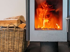 Fireplace in the living room