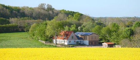 Blick auf Scheune mit Ferienwohnung und WOhnhaus 