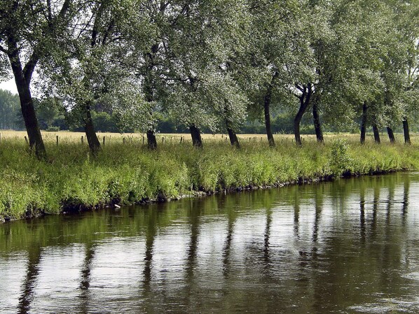 Järvi