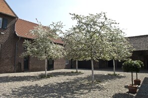 apple blooming in the courtyard