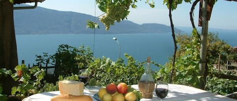 Panorama view from the sunny patio in the garden