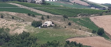 La Casa Collina