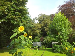 Blick vom Haus in den Garten
