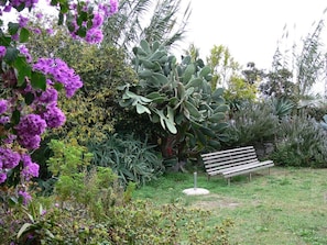 the romantic garden