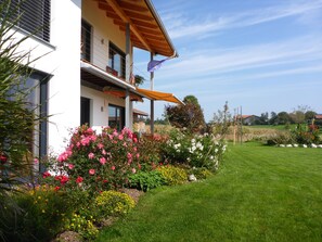 Ferienhaus in Breitbrunn (Sommer 2018)