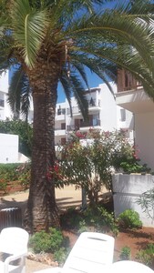 High quality apartment in Cala`Dor, a few meters from Cala Esmeralda beach.