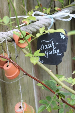 Äpfel und Beeren garantiert Bio aus dem Naschgarten, gern für unsere Gäste