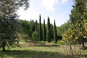 Jardines del alojamiento