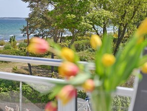 施設の敷地