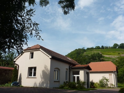Holiday home in green with view of the vineyards