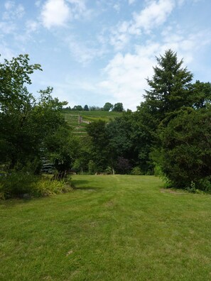 Blick in den Garten