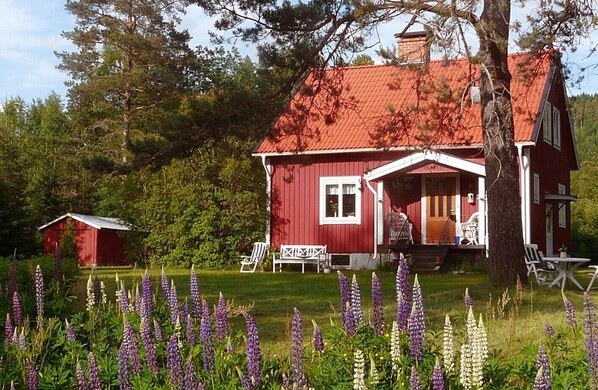 Exteriör