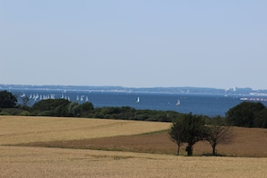 Photo non classée, 3 sur 28, bouton