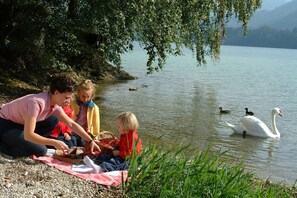 Picknick am Hintersee