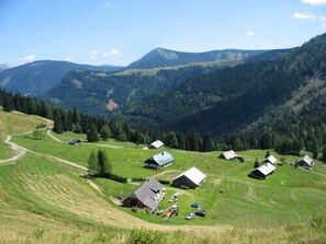 Ladenbergalm in unserer nächsten Nähe zum Wandern