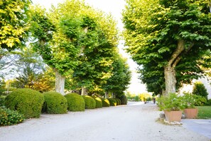 Property grounds
