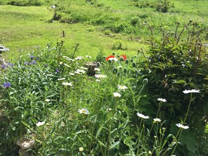 Chalet Soleniou - Jardin fleuri devant le chalet