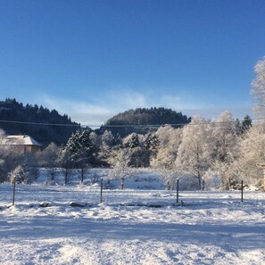 parc des chevaux qui se trouve le long de l'allée