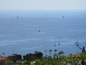 Vue du jardin