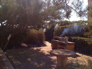 Barbecue and grill