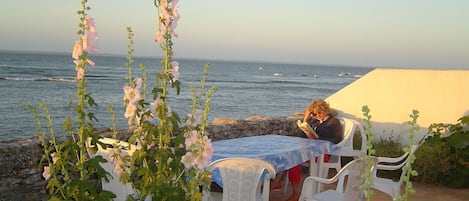 La terrasse de la maison