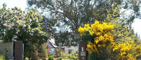 Jardines del alojamiento