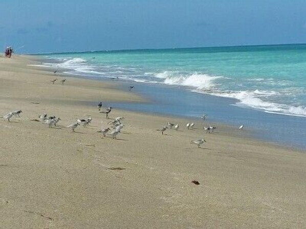 Spiaggia